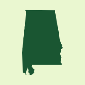 NEXT EMS Alabama Icon 1